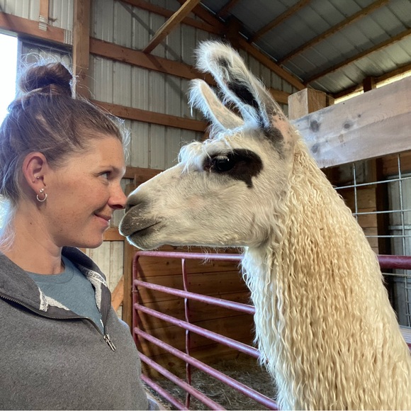 Meet your Posher, Chandra - Picture 3 of 3